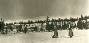 Haavi-lett