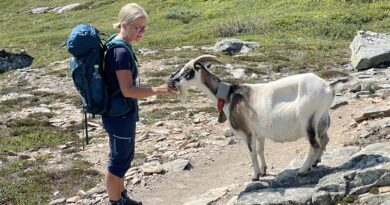 Dronninga på stien