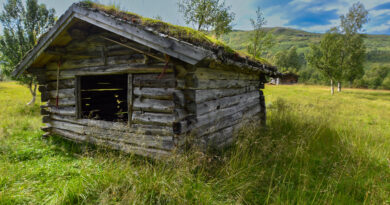 Norske løer